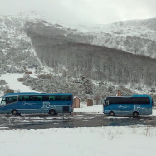 Un autobús grande y otro pequeño de la empresa en una carretera con fondo de nieve