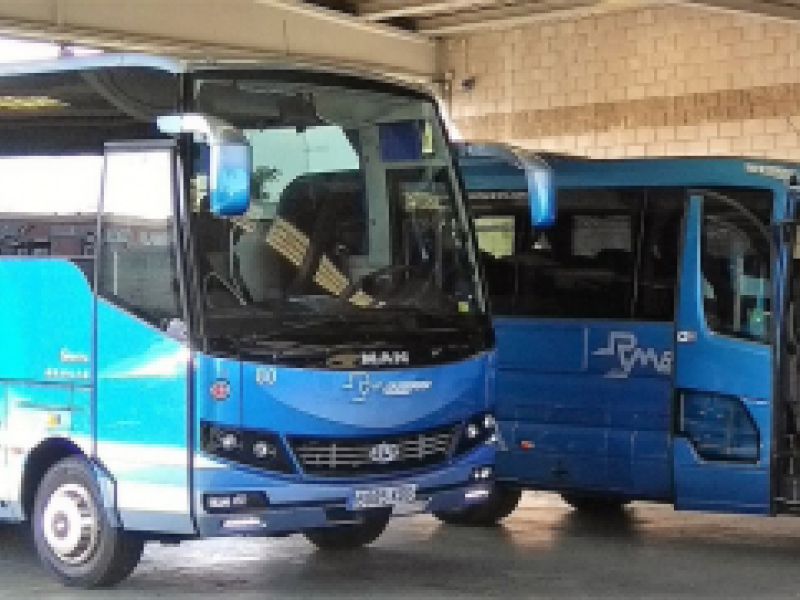 Vista de dos autobuses pequeños unidad 80 y 75