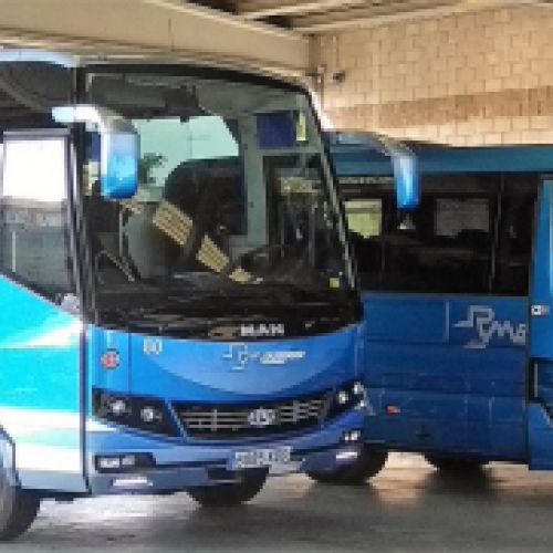 Vista de dos autobuses pequeños unidad 80 y 75