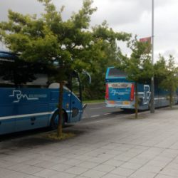 Varios autobuses de la empresa de color azul aparcados en avenida